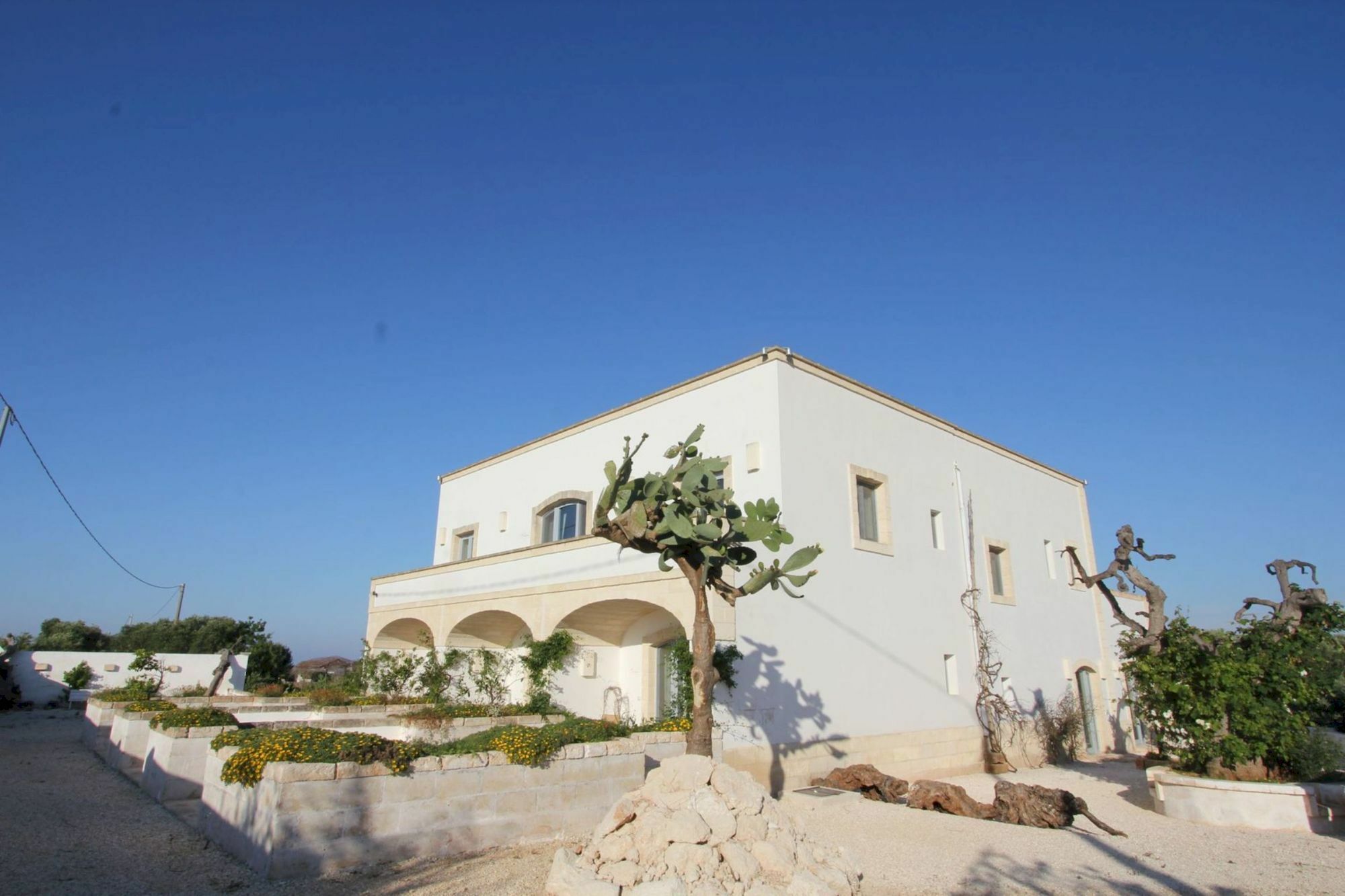 Masseria Lama Di Coccaro Savelletri Exteriér fotografie