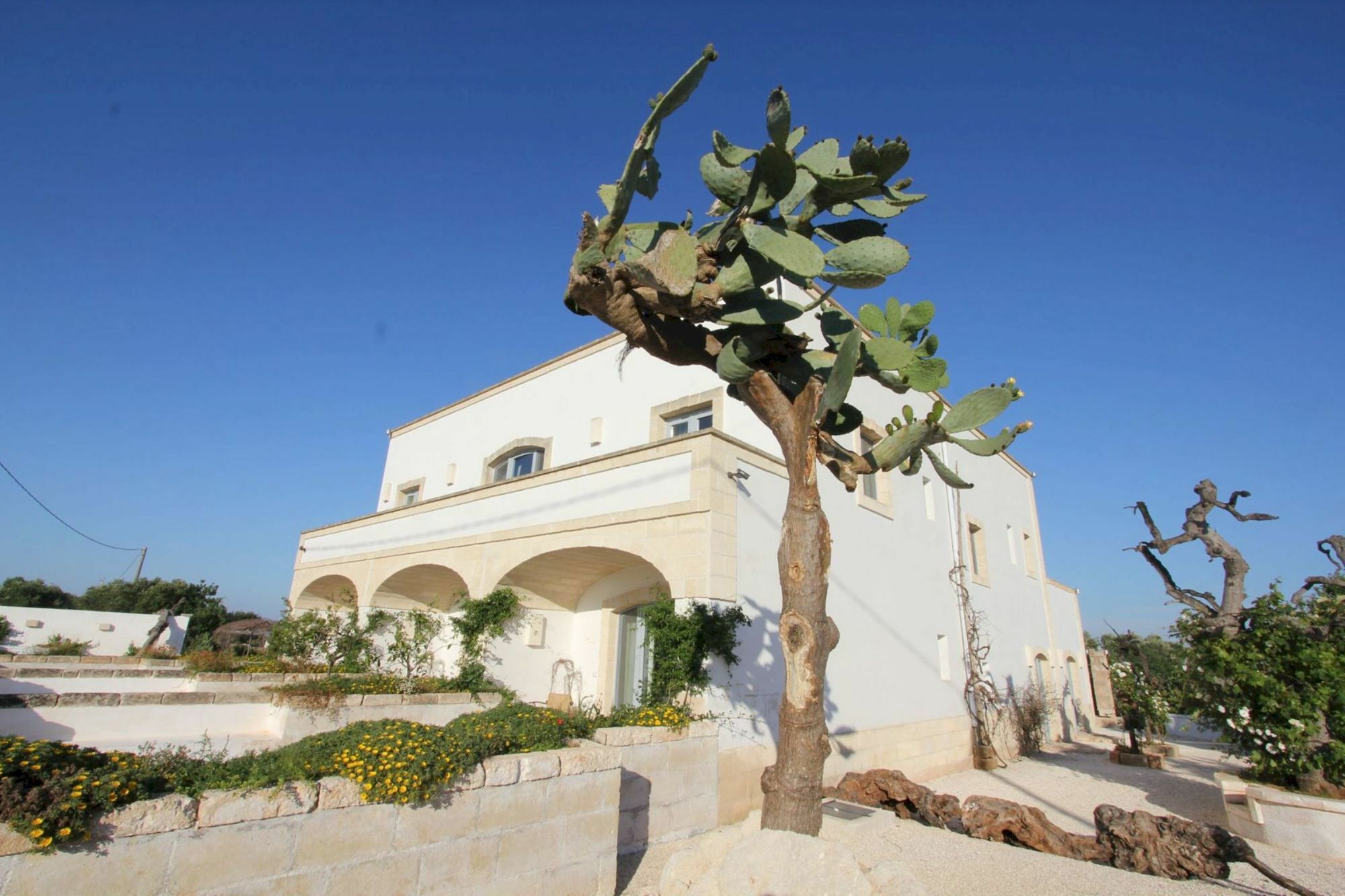 Masseria Lama Di Coccaro Savelletri Exteriér fotografie